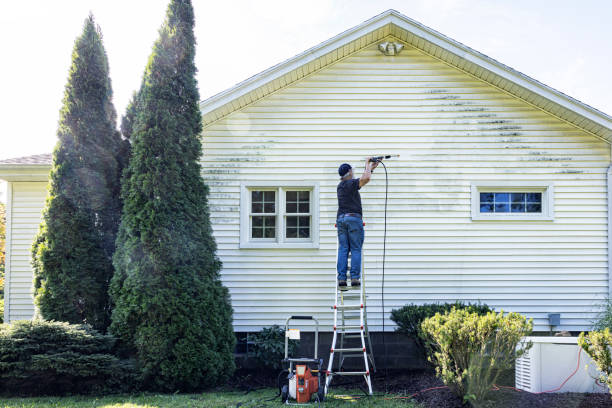 Best Fence Cleaning  in Ridge, NY