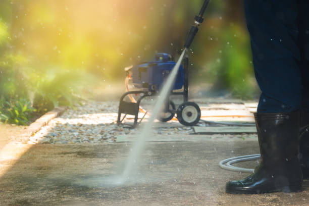 Best Spring Cleaning  in Ridge, NY